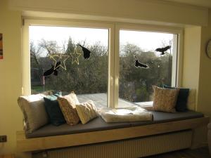 Bella Colonia Vieren