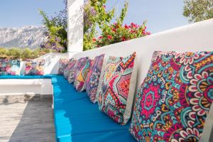 Villa sena e su juncu