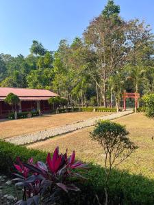 Gorumara Jungle Resort