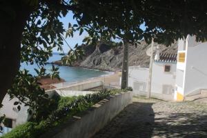 Casa Flor