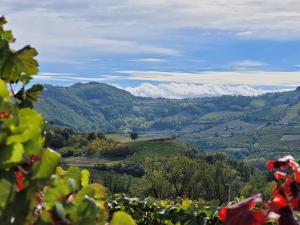 Appartamento Dolcetto in Cascina Marenco Langhe Country House