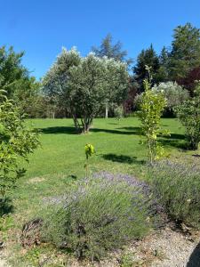 The Farmhouse in the shade of the plane trees