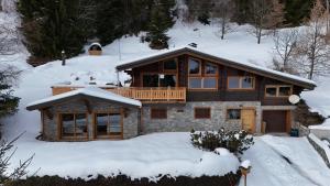 Chalet meleze - Les Gets - La Massouderie