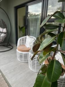 Oak & Stone Motswedi Place