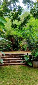 Bungalow 16 - Tropical Retreat