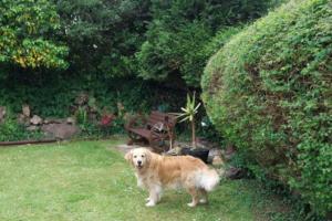 1 Bed Caravan Sleeps 2 -Dog Welcome -Free Parking