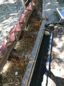 Bus atypique au bord du canal du midi et au cœur dune forêt 2 chambres
