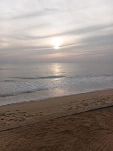 Ocean beach