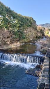102個室元芸者の隠れ宿湯河原