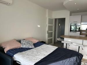 LV610-034 Appt 2 pièces 4 couchages LE LAVANDOU