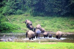 Riverside Homestay Mankulam