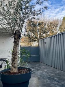 Suites du Cabinet Vert