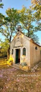 Studio Apartman Cvita