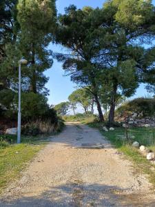 Studio Apartman Cvita