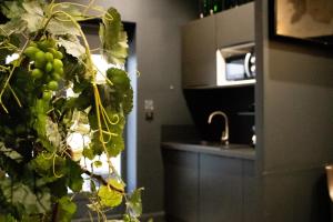 Love room - Cinéma et Jacuzzi Shelby