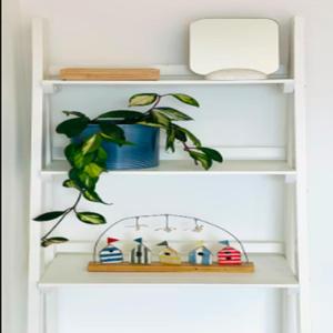 The Palms Cottage Exclusive Use 3 Bedroom Parking Central Newquay