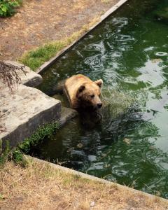 One Suite Hotel - Zollhaus