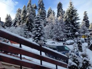 Hotel Borovets Palace