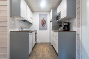 Holiday in Lapland - Villa Quality 2