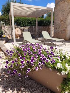 Torre Carperi in Valle dItria