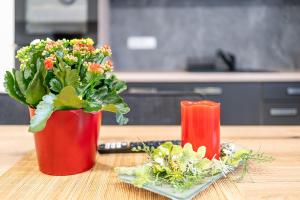 Monteurwohnung Kotte