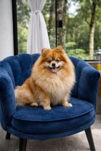 Loft Exclusivo Gramado