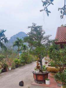Ninh Binh Green Farmstay