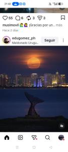 Punta del Este, Opera