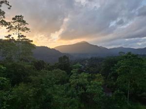 Highgarden Hideaway Villa - Gampola