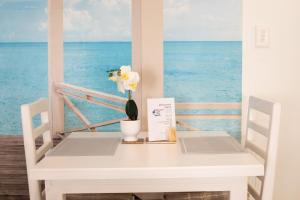 Bella Luna Bed and Breakfast