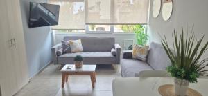 Aliaga Mar del Plata