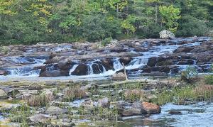 Mountain View Cabins on River