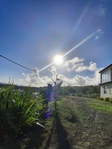 Paradis des Pailles-en-Queue