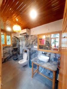 Jalori View Log House Jibhi