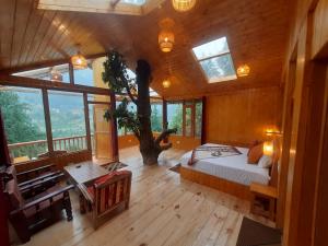 Jalori View Log House Jibhi