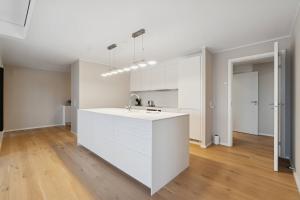 Skylight Grand Apartment Carlsberg District