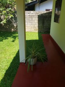 Villa Golden Drift