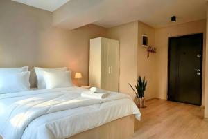 Central Studio Apartments in Debar Maalo