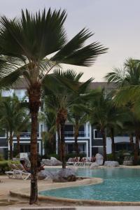 CORALITO DOMINICUS ESTRELLA DOMINICUs