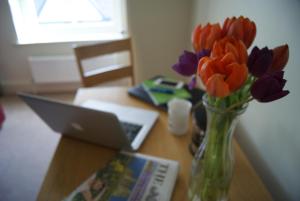 V11 Apartments Apt 4