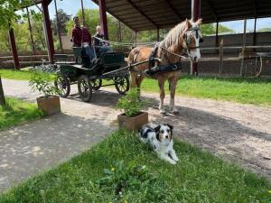 Lucky lukes hideaway