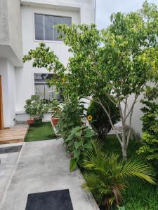 Casa con habitación amoblada, piscina