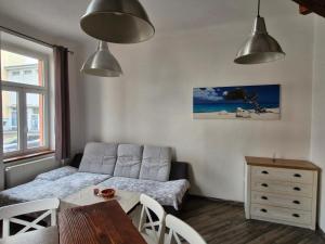 Apartmán U řeky Resslova