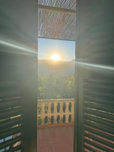 OLIVAR de S’HERETAT Trekkingruta GR-221 (ETV2099)