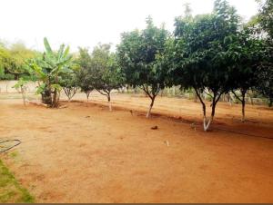 KVB Green Haven