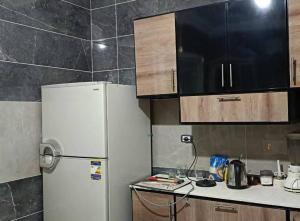 شقق صفوه مدينه نصر للخدمات الفندقيه