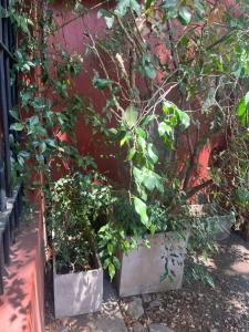 Hermosa casita con jardín Goldas Haus