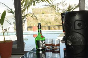 Pearl Pride Best Villa Udaipur