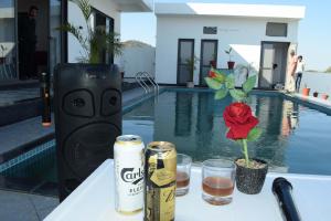 Pearl Pride Best Villa Udaipur