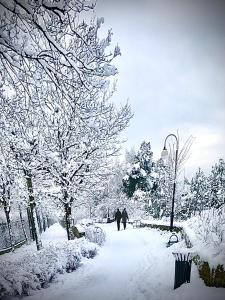 Kwatera Prywatna Maja